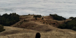 Introducing Instagram's Hyperlapse
