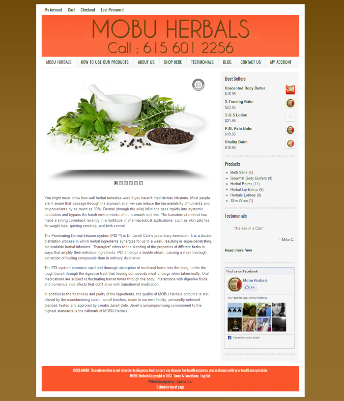 Website Design - Rambo Ruiz